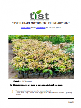 TIST Tanzania Newsletter - February 2025