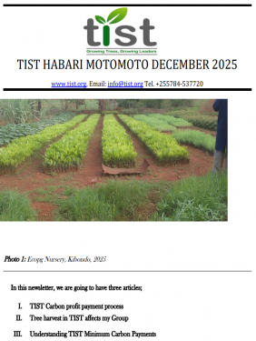 TIST Tanzania Newsletter - December 2025