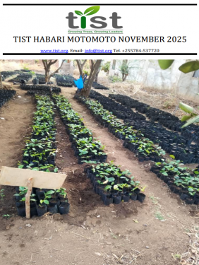 TIST Tanzania Newsletter - November 2025